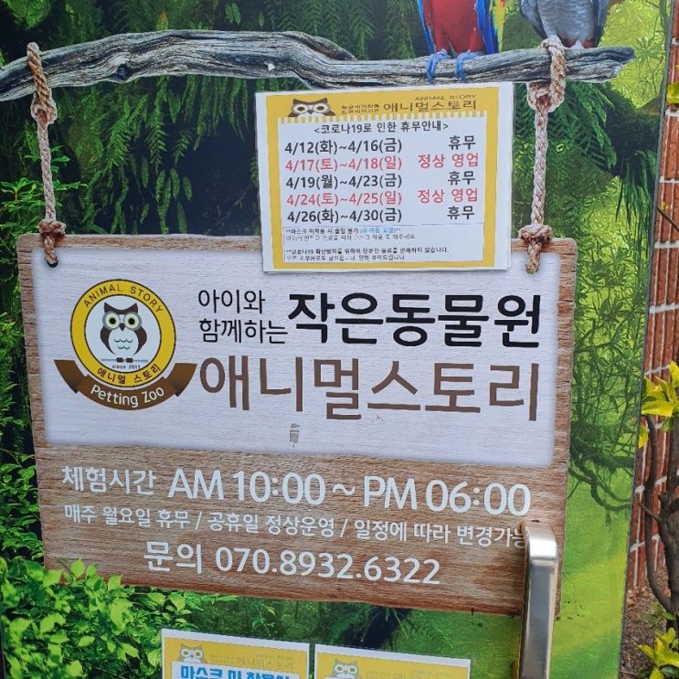  경남 창원 마산 아이와 함께 가볼만한곳 내서 실내동물원 [애니멀스토리]