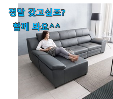 실시간 삼익가구 4인용 쇼파 굉장한 물건 저는추천 확정 실시간 삼익가구 4인용 쇼파 굉장한 물건 저는추천 확정