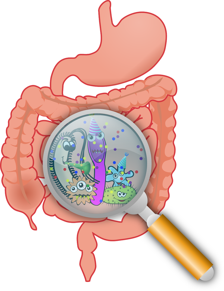  Health 관련 영단어-1