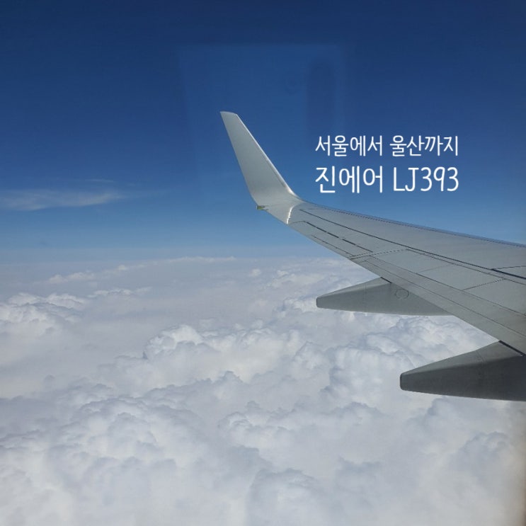 진에어 B737-800 타고 서울에서 울산가기(LJ393)
