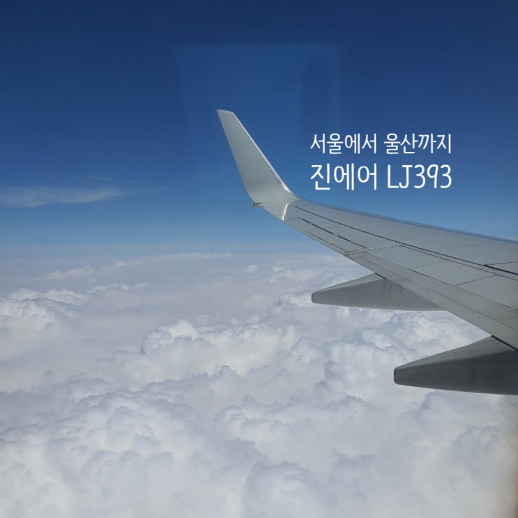  진에어 B737-800 타고 서울에서 울산가기(LJ393)