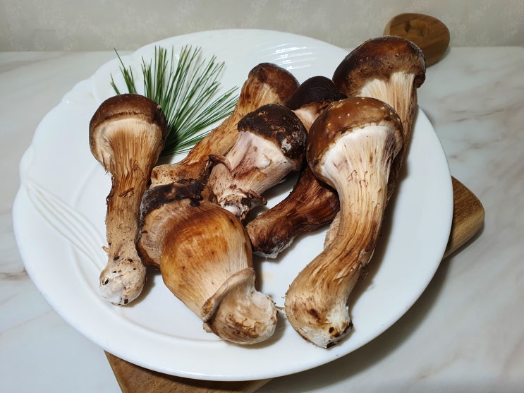 친환경 무농약 참송이버섯 먹어봤어요 솔푸른 친환경 무농약 참송이버섯 먹어봤어요 솔푸른