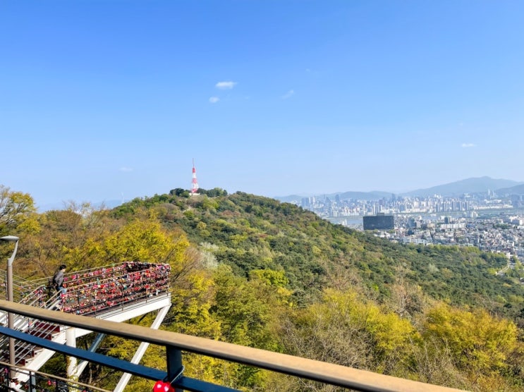  [서울 봄나들이] 남대문 도삭면 꿔바로우 맛집 중식당 ‘란주칼면’ 꽃이 져도 예쁜 남산 산책 (feat. 명동 주차 팁)