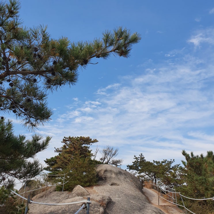  등산 발목보호대 유행하는 산린이 등산화에 필요