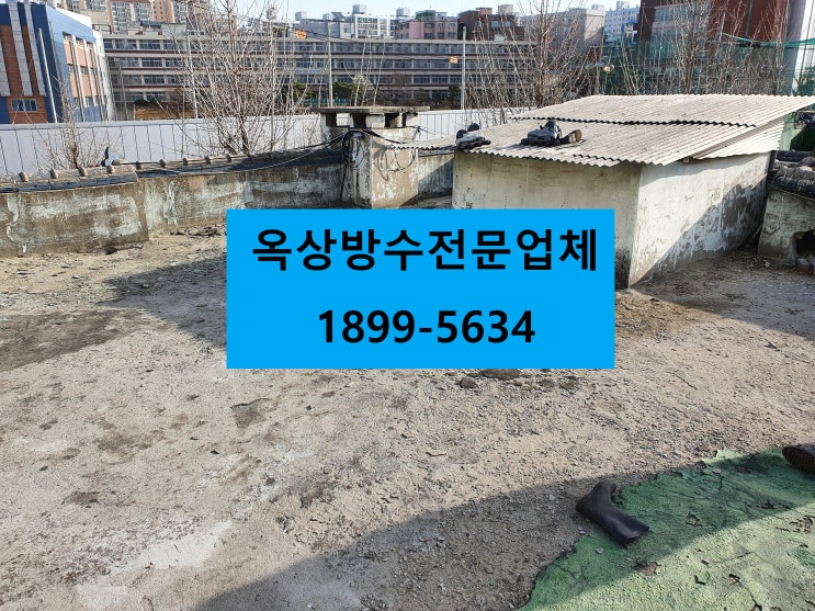  용현동 옥상방수 전문적인곳에 문의하세요:)