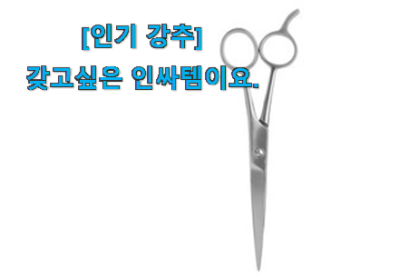 유튜브에서도 난리난 그 상품! 대박특가 앞머리 미용가위 행복 클릭 알아보자 추천하고픈 맘이에요.