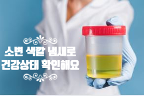  소변 색깔 냄새에 따른 건강 상태 (ft. 짙은 노란색 갈색 콜라색 붉은색 혈뇨 거품 탁함 우유색)