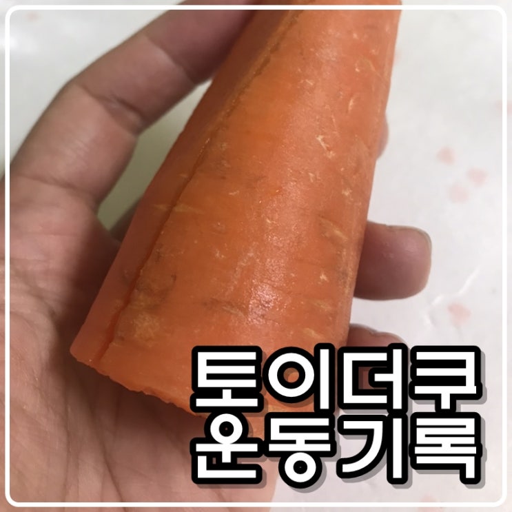 토이콜렉터 손대니 운동(다이어트) 기록 - 턱걸이(풀업),푸쉬업, 스쿼트 토이콜렉터 손대니 운동(다이어트) 기록 - 턱걸이(풀업),푸쉬업, 스쿼트