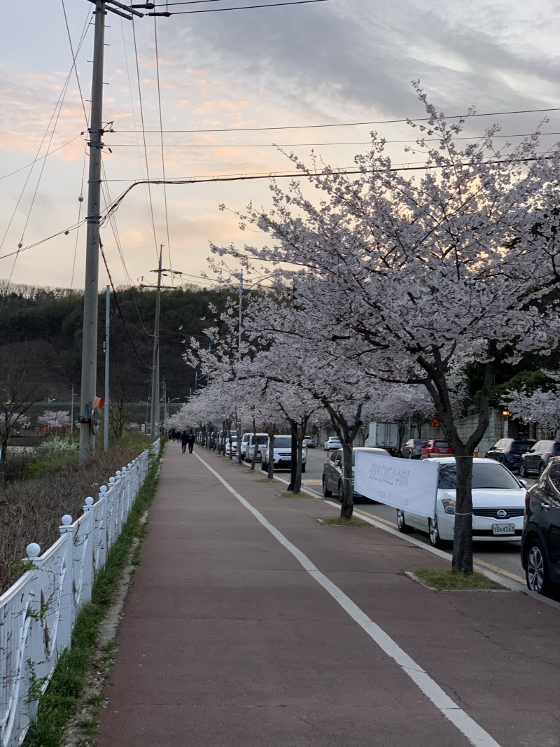 안산 가볼만한곳 군포 반월호수공원 둘레길 걸으며 힐링 산책 후 뷰맛집으로 카페 온도 추천 : 네이버 블로그