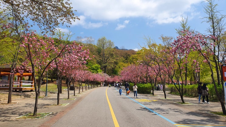 서울대공원 동물원 이용요금 감면안내 이용 시간 임시휴관