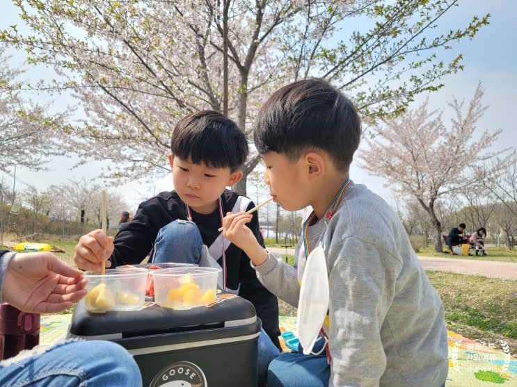  경인 아라뱃길 봄 나들이 ( 매화동산 )