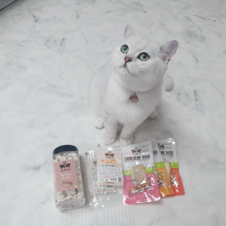  [고양이 간식] 펫츠플레이트 북어트릿 솔직 후기