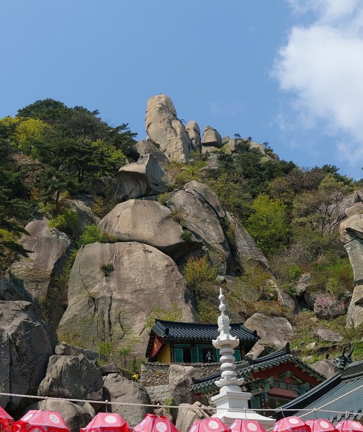 서울 가볼만한곳 산행 산책길 도봉산 원통사 봄나들이 서울 가볼만한곳 산행 산책길 도봉산 원통사 봄나들이