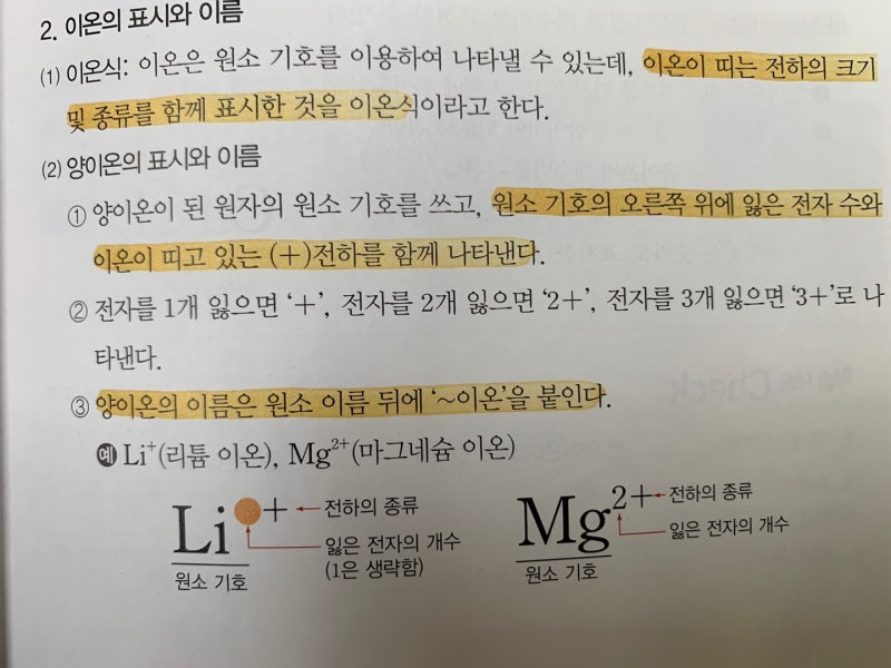 이온식