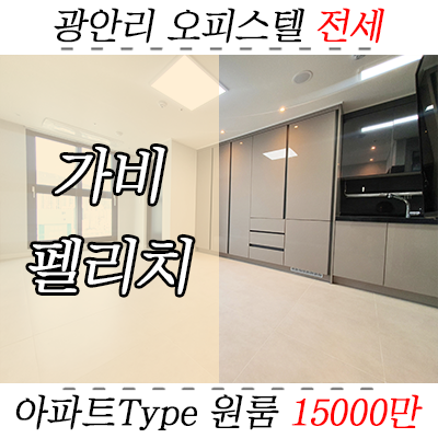 수영구 원룸 전세 - 광안동 신축 가비펠리치 원룸형 오피스텔/아파트 수영구 원룸 전세 - 광안동 신축 가비펠리치 원룸형 오피스텔/아파트