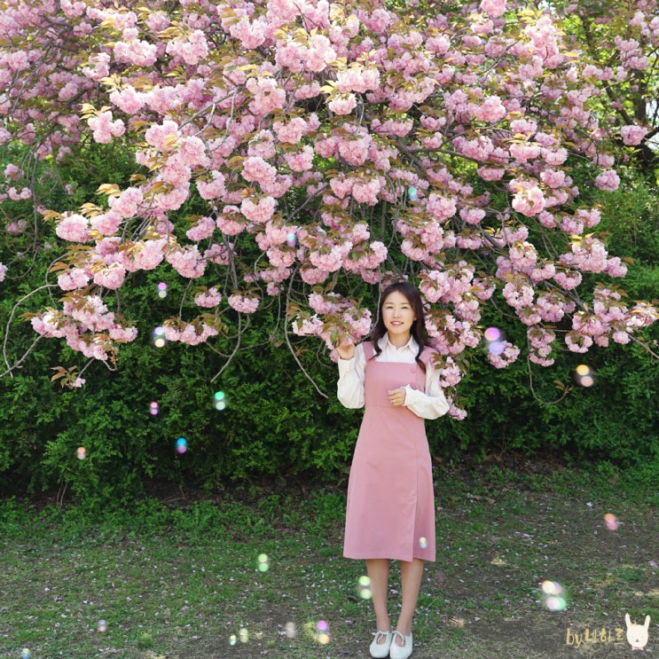  어린이대공원 서울 겹벚꽃 명소 봄나들이