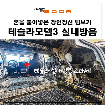  테슬라 모델3 신차패키지 작업하셨던분이 실내 방음으로 또 방문해주셨습니다.