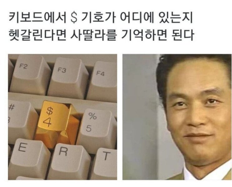 4달라의 진실...