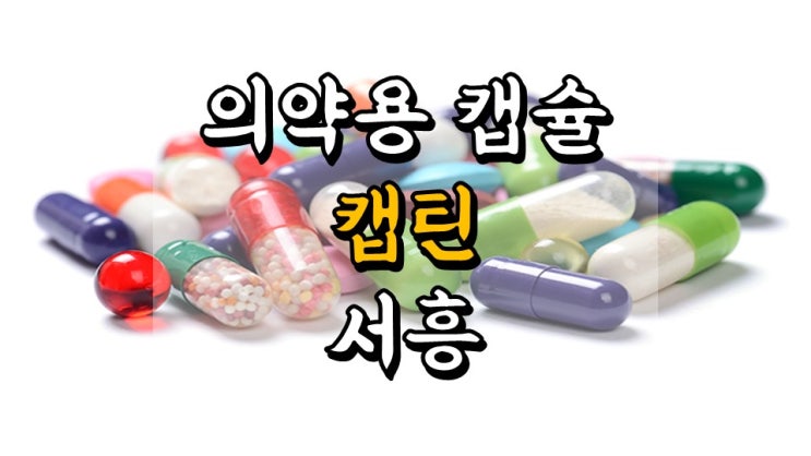 의약용 캡슐 캡틴!! 서흥 - 주가 전망, 배당금, 헬스케어 관련주, 제약 관련주, 건강기능식 관련주