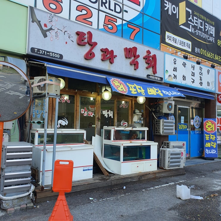 금호동 탕과 막회, 간단하게 회를 즐길 수 있는 곳!