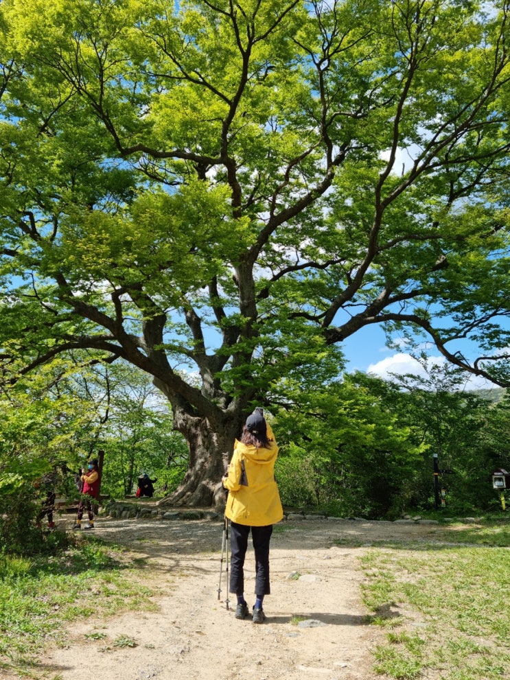  등산코스야 둘레길이야? 등산초보도 무등산 중머리재 쉽게 갈 수 있는 코스!