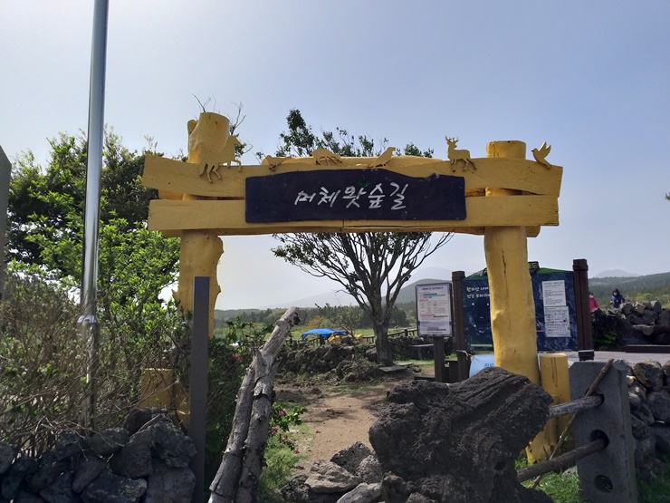  내가 아는 제주 서귀포 가볼만한곳!