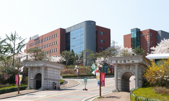 인천공항콜밴으로 호산대학교 다녀왔어요 안동 김천 구미 칠곡 상주 대구 경산 청도 (인천공항택시)