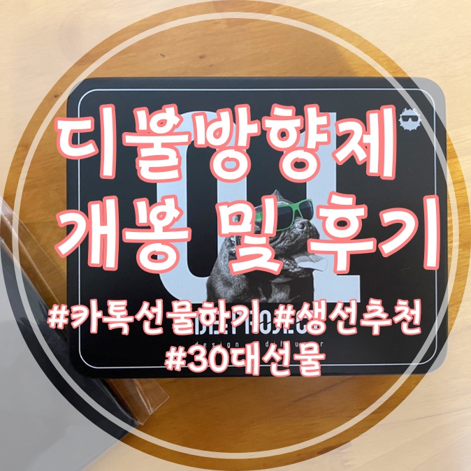  [차량용방향제추천] 내차에 딱 어울리는 디프로젝트 디불방향제(feat.카카오톡선물하기)