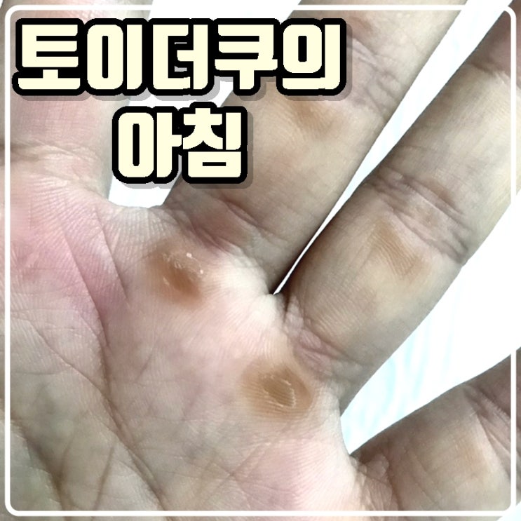 토이콜렉터 손대니의 아침 - 아침운동(풀업, 푸쉬업)과 커피 토이콜렉터 손대니의 아침 - 아침운동(풀업, 푸쉬업)과 커피