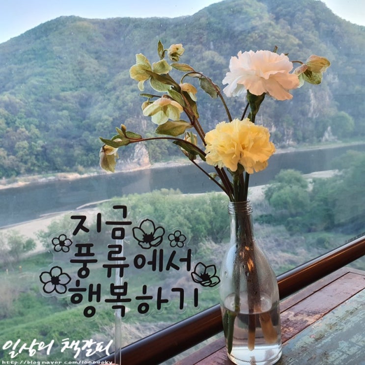  금강의 정취를 느낄 수 있는 세종 장군면 <풍류다방> 내돈내산 후기