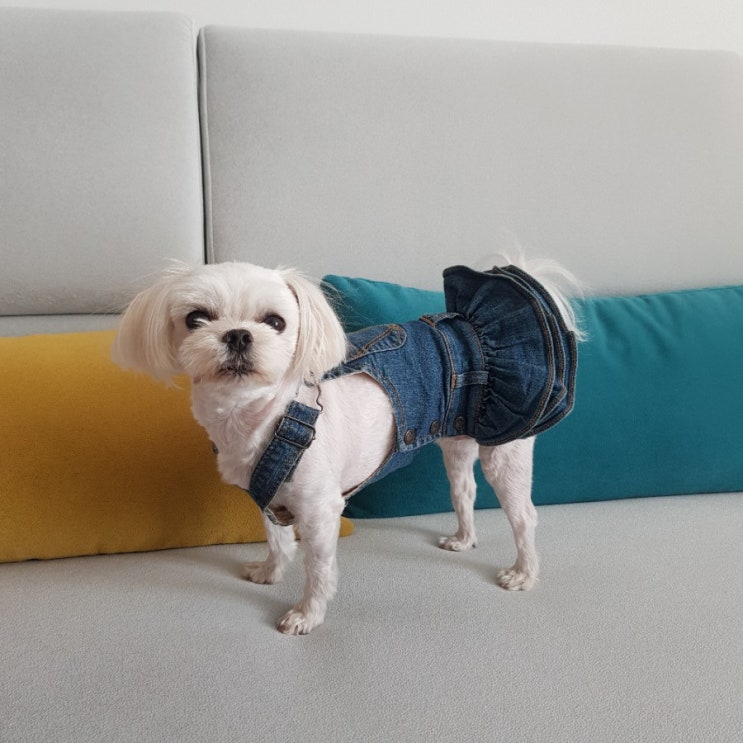  2021.04.19 짧은 기록