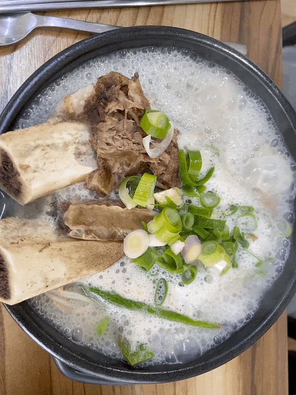  경북 영주 맛집 <홍삼품은낙지> 기력보충에 왕갈비탕
