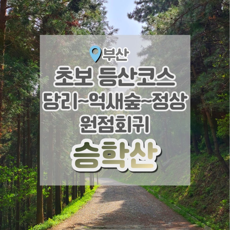  승학산 등산코스 , 뚜벅이 초보 등산러가 가본 쉬운 코스 (원점회귀)