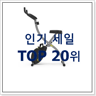 가성비좋은 실내자전거 인기 핫딜 TOP 20위