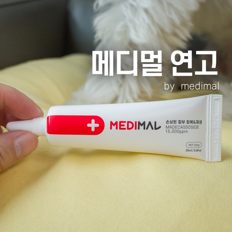  강아지연고 발바닥 보습제 중요