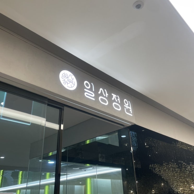  삼성역 코엑스 맛집 일상정원에서 스키야키 맛있게 먹는 방법
