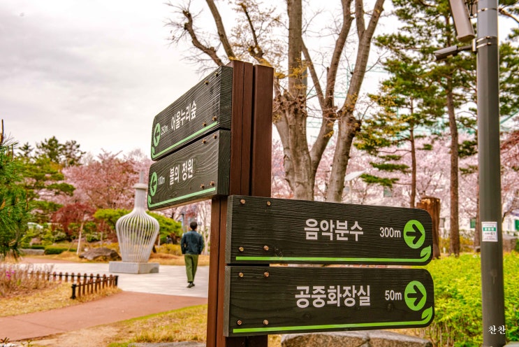  포항 철길숲 공원 볼거리 가득한 관광지
