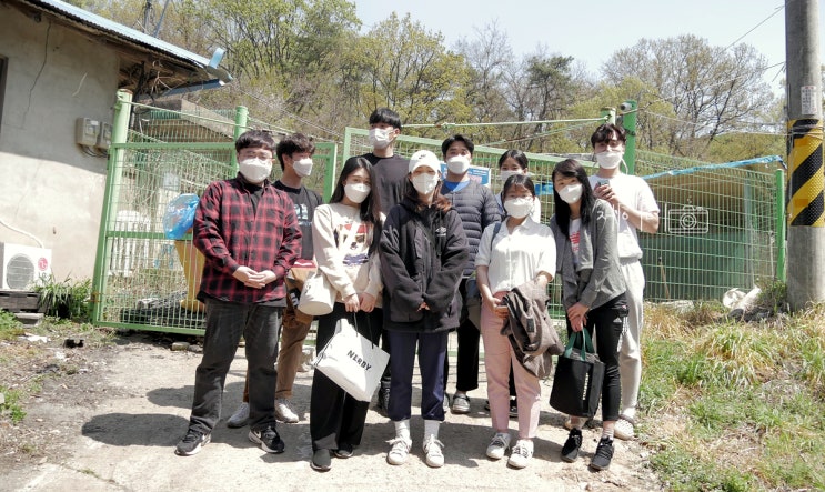  유기견봉사 / 달봉이네 방문해서 운동장 잡초뽑고 왔어요:)