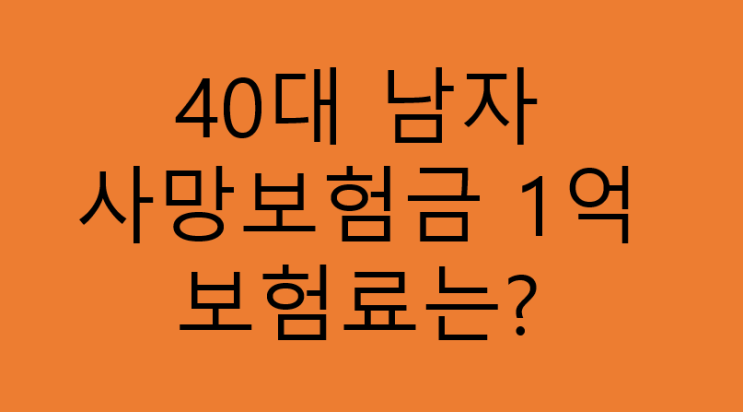 40대 남자 종신보험 사망1억원 보험료 비교 / 저렴한 사망정기보험으로 가입하고 든든하게 사망보험금 보장, 20년납 20년만기