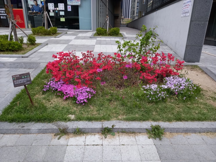 내가 알아야 할 10 글자