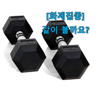  이 가격대에선 제일 좋은거같습니다 후회안합니다. 이고진 덤벨 3kg 아이템 이구요. 저는추천 확정