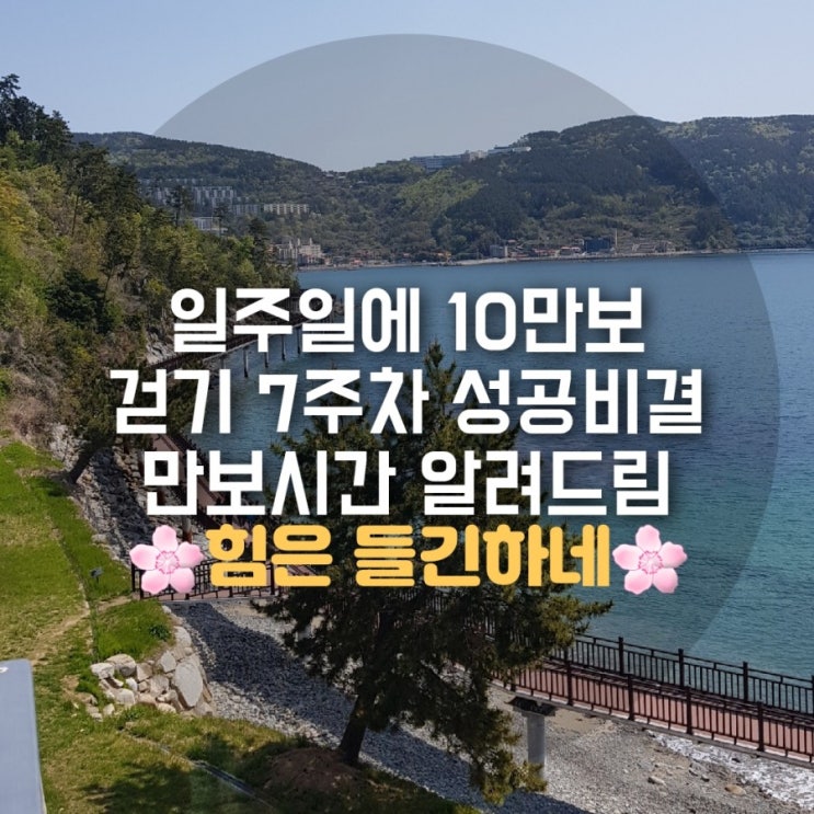 만보시간 얼마나 걸릴까요 7주차 이야기