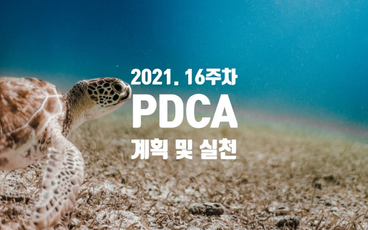  2021년 계획과 실천 16주차 점검 [중국투자를 늘려야할때]