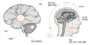 뇌신경12쌍 검사방법 동공각막안구반사 근력떨림평가 감각능력 뇌신경12쌍 검사방법 동공각막안구반사 근력떨림평가 감각능력