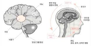 뇌신경12쌍 검사방법 동공각막안구반사 근력떨림평가 감각능력