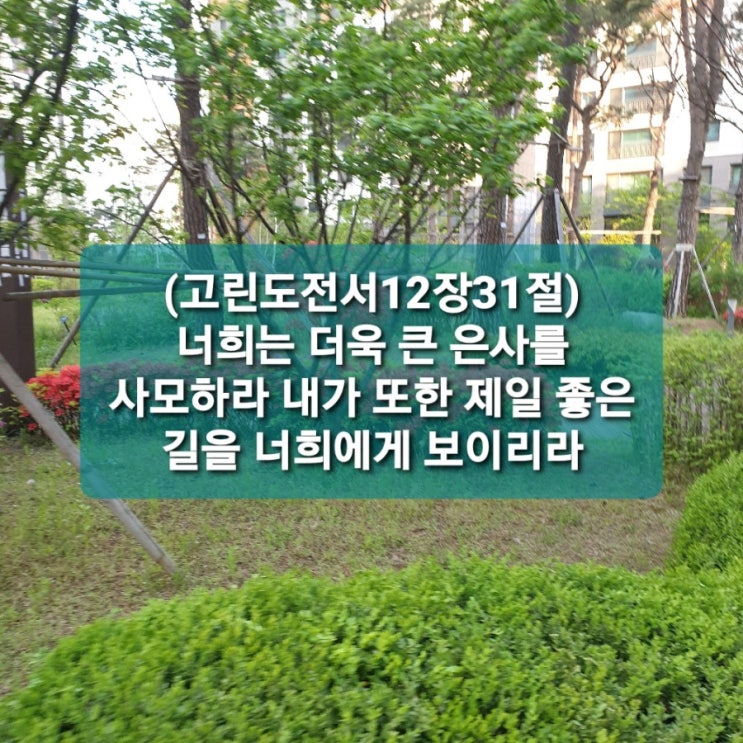  큰 은사를 사모하라