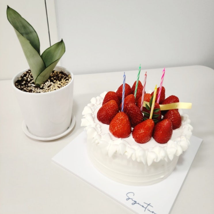  5살 생일 축하해 