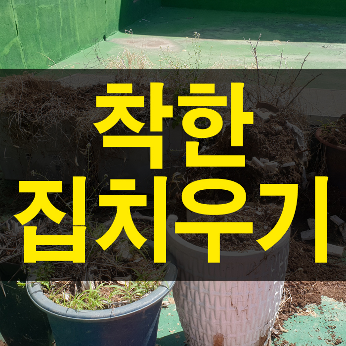  방수 공사를 위해 옥상을 비워야 하는 서울가정폐기물처리 결과물
