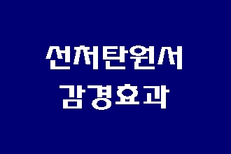  선처 탄원서 대필로 감형을
