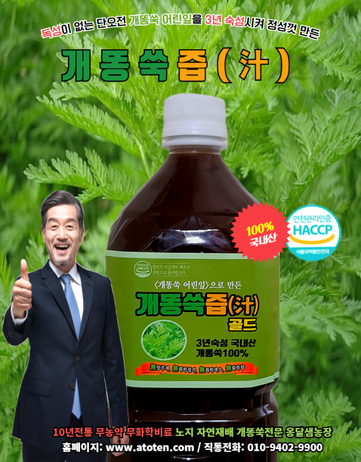  항암에 좋은 음식 항암치료 음식 개똥쑥효능
